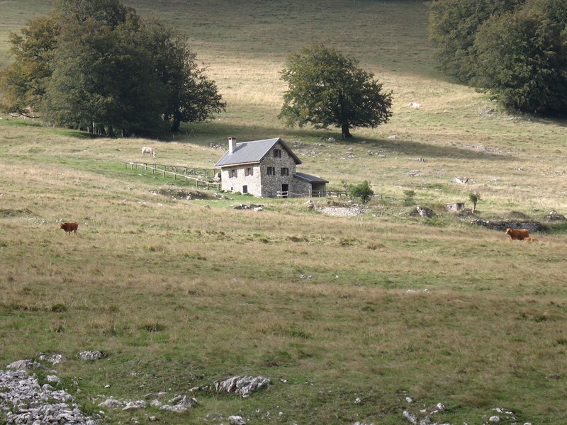 IMG_2229 (Copier).JPG