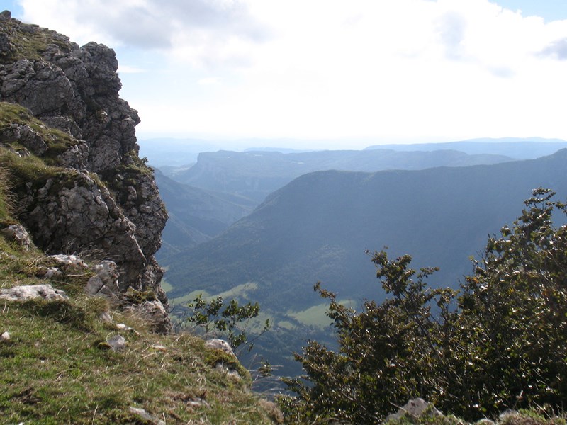 IMG_2236 (Copier).JPG