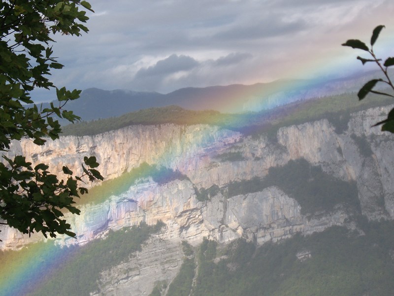 IMG_2175 (Copier).JPG