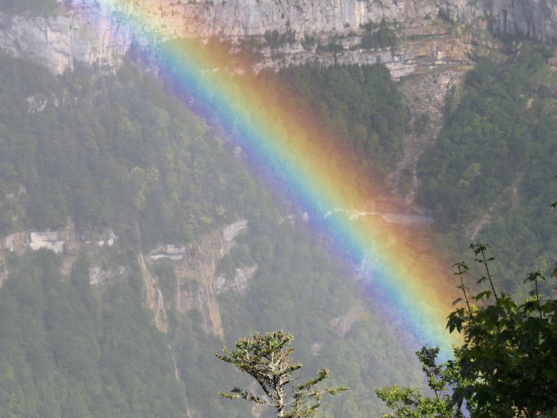 IMG_2179 (Copier).JPG