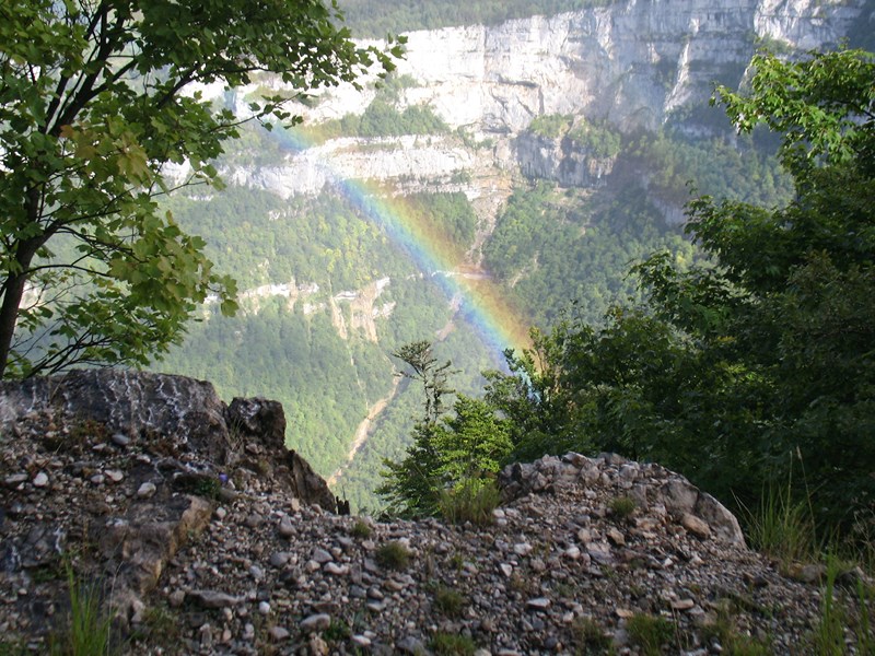 IMG_2181 (Copier).JPG