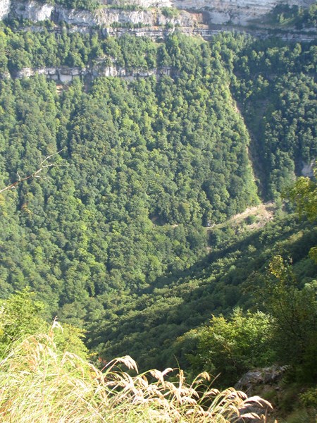 IMG_2184 (Copier).JPG