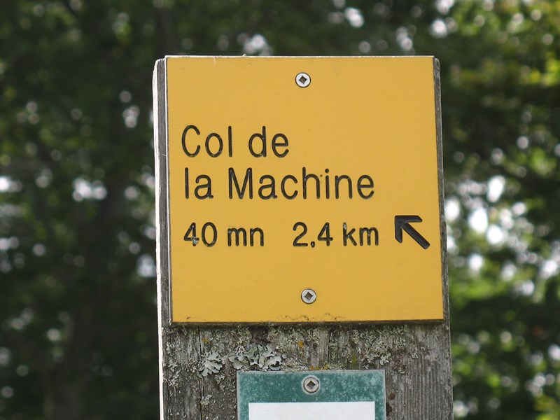 IMG_1997 (Copier).JPG