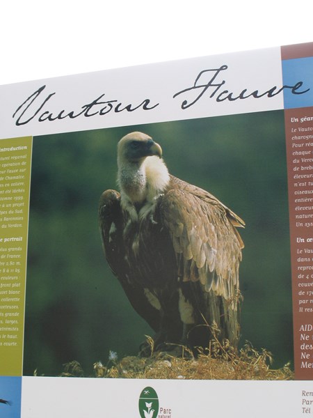 IMG_1897 (Copier).JPG