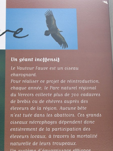 IMG_1898 (Copier).JPG