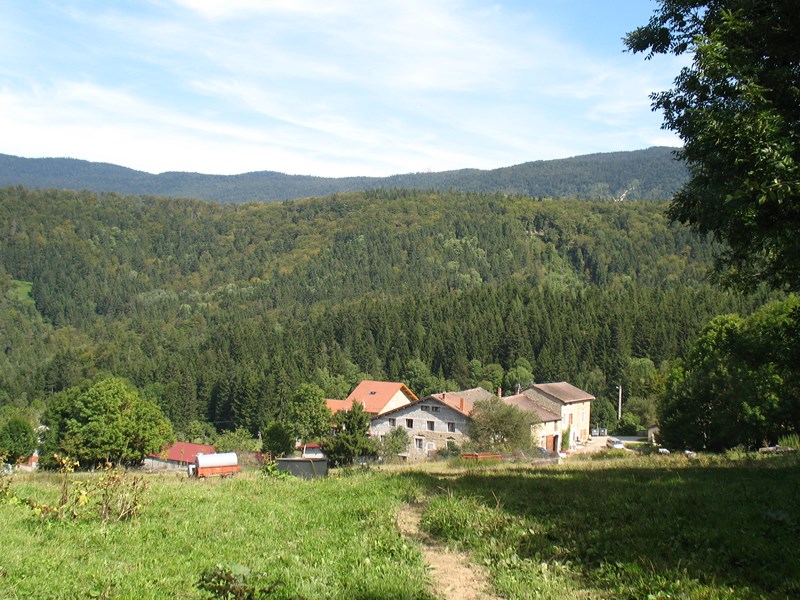 IMG_1650 (Copier).JPG