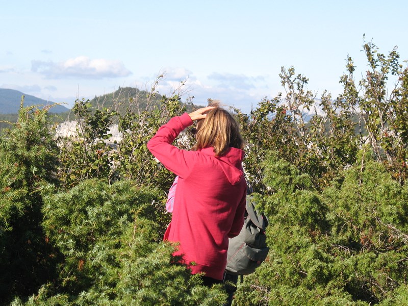 IMG_1680 (Copier).JPG