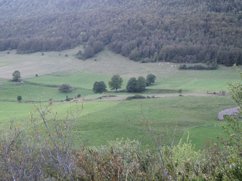 IMG_1699 (Copier).JPG