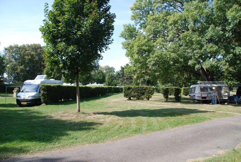 DSC_3445.JPG