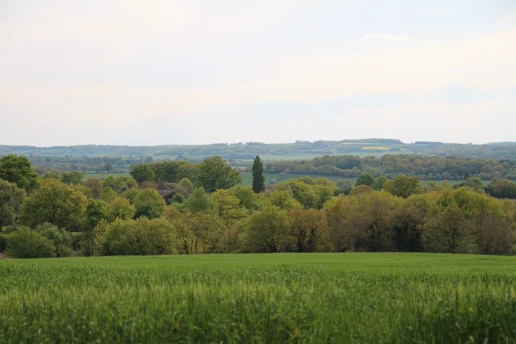 Puisaye forterre 129 (Copier).JPG