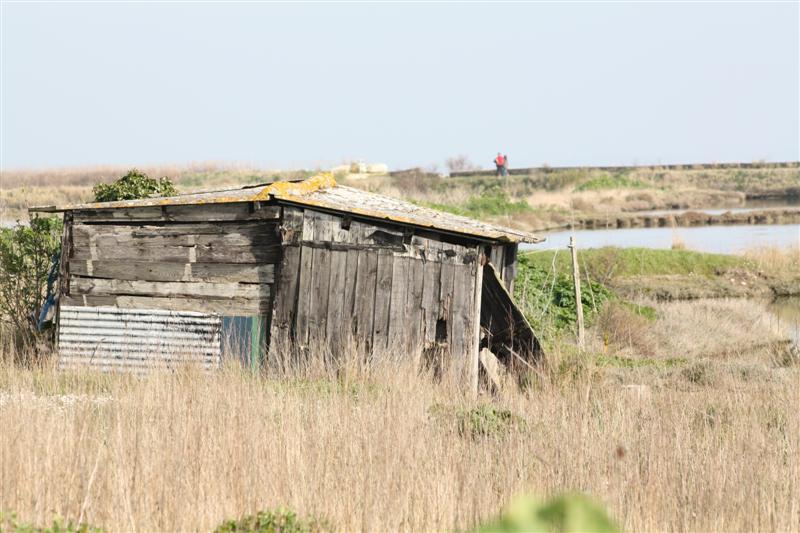 IMG_7073 (Medium).JPG