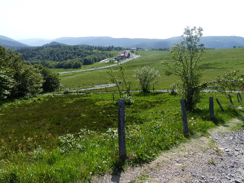 P1010847(1).JPG