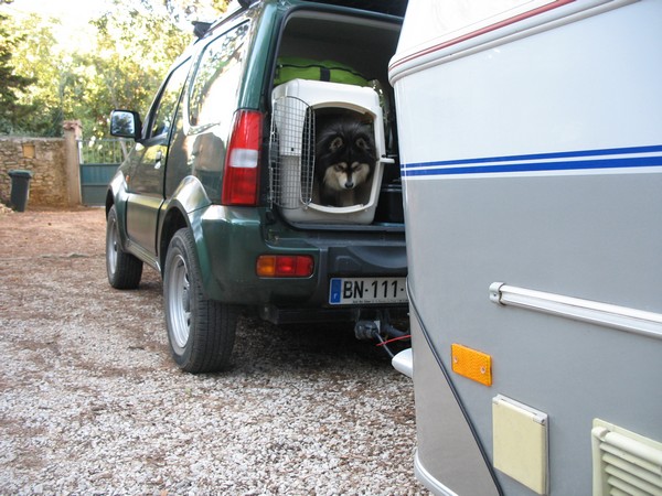 Haskan prêt à partir.JPG