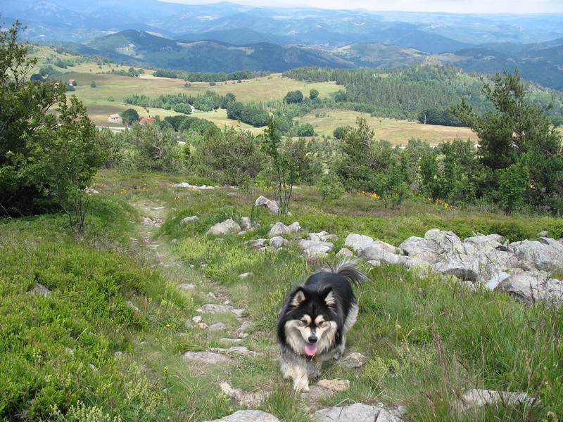 en grimpant au suc du Montivernoux.jpg