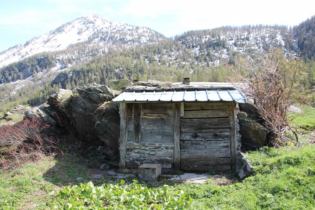 La clarée0514 022 (Copier).JPG