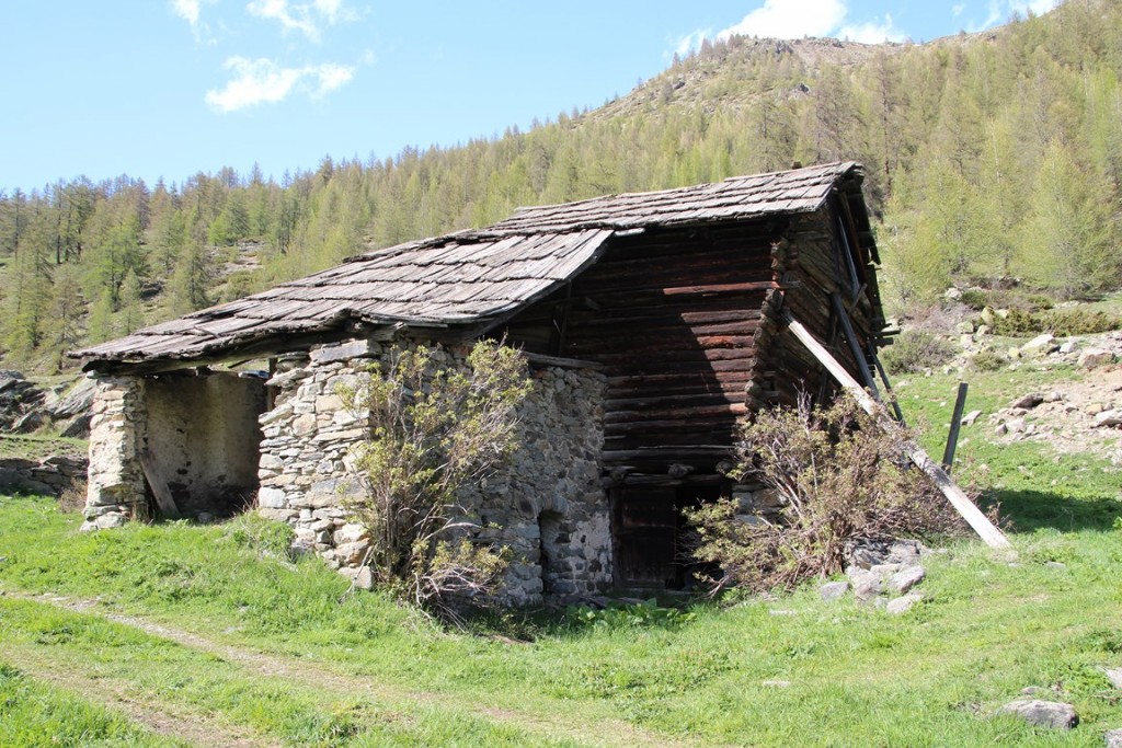 La clarée0514 024 (Copier).JPG