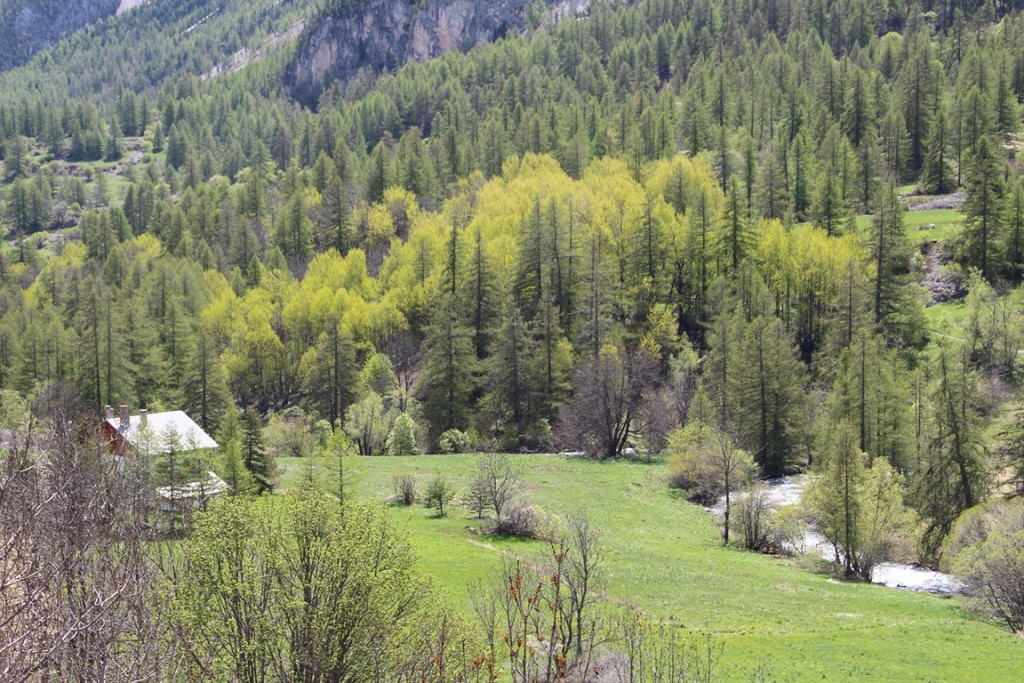 La clarée0514 121 (Copier).JPG