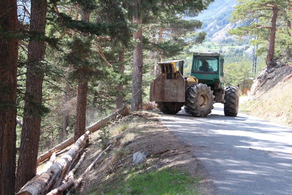 La clarée0514 191 (Copier).JPG