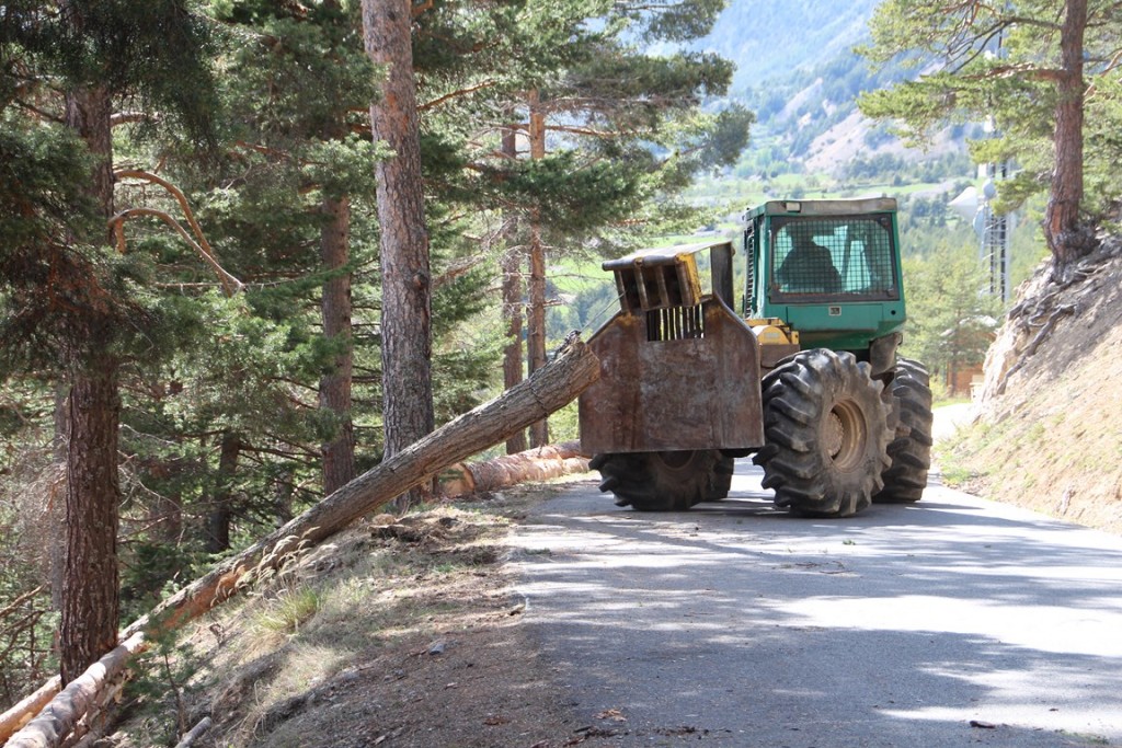 La clarée0514 193 (Copier).JPG