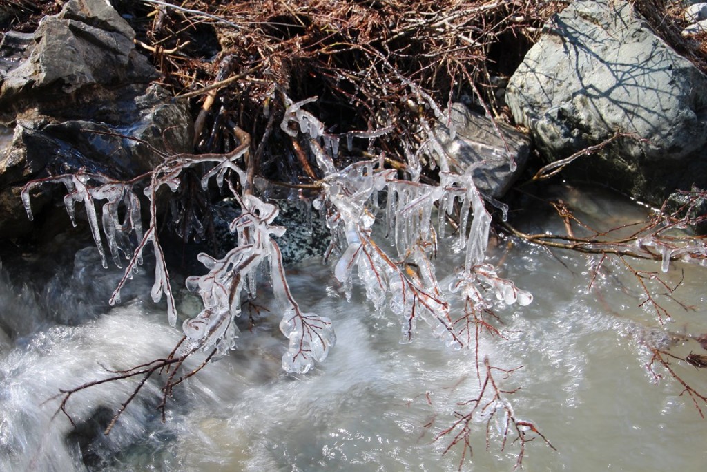 La clarée0514 438 (Copier).JPG