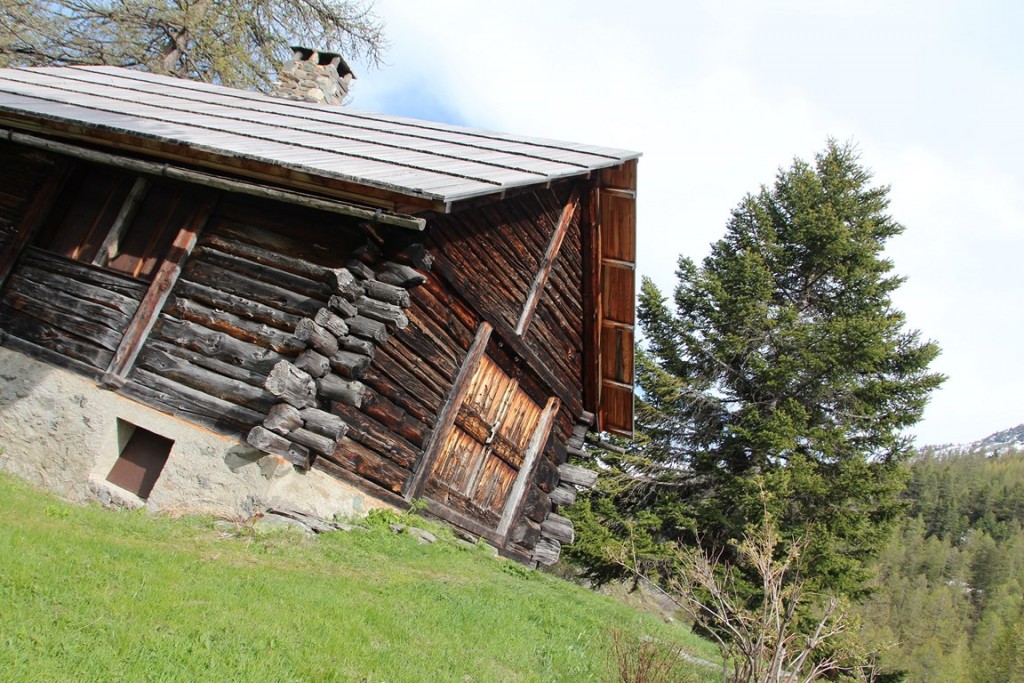 La clarée0514 575 (Copier).JPG