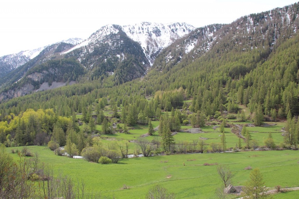 La clarée0514 087 (Copier).JPG