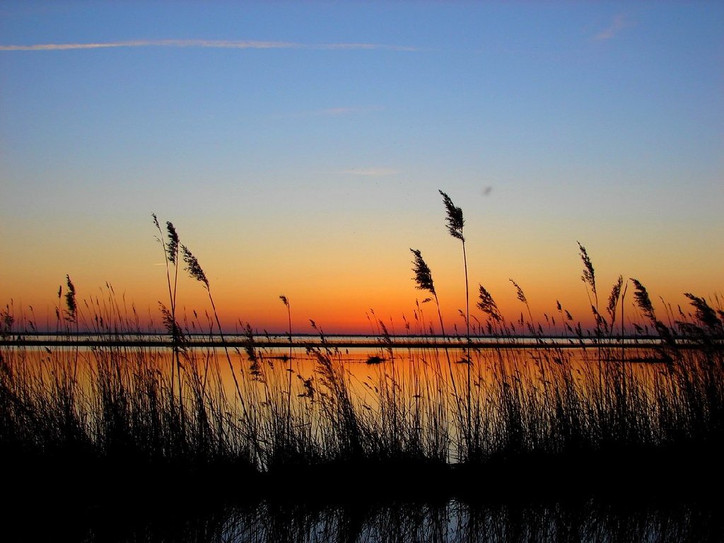 80124anivmich049.JPG