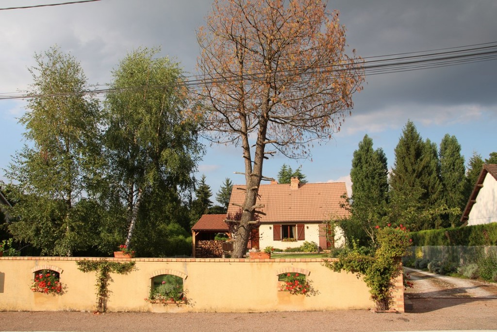 pin 014 (Copier).JPG