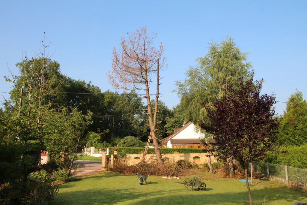 pin 028 (Copier).JPG