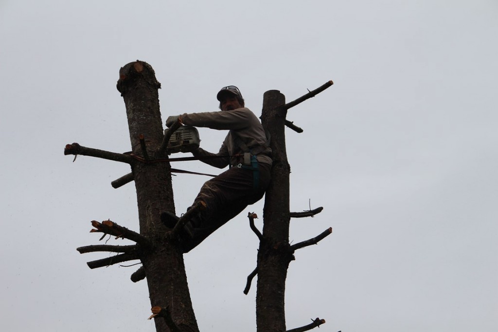 trophéedor14binbin 009 (Copier).JPG