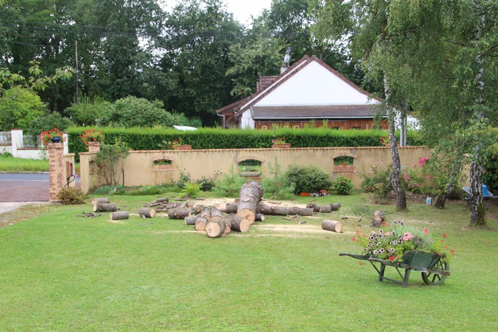 trophéedor14binbin 017 (Copier).JPG