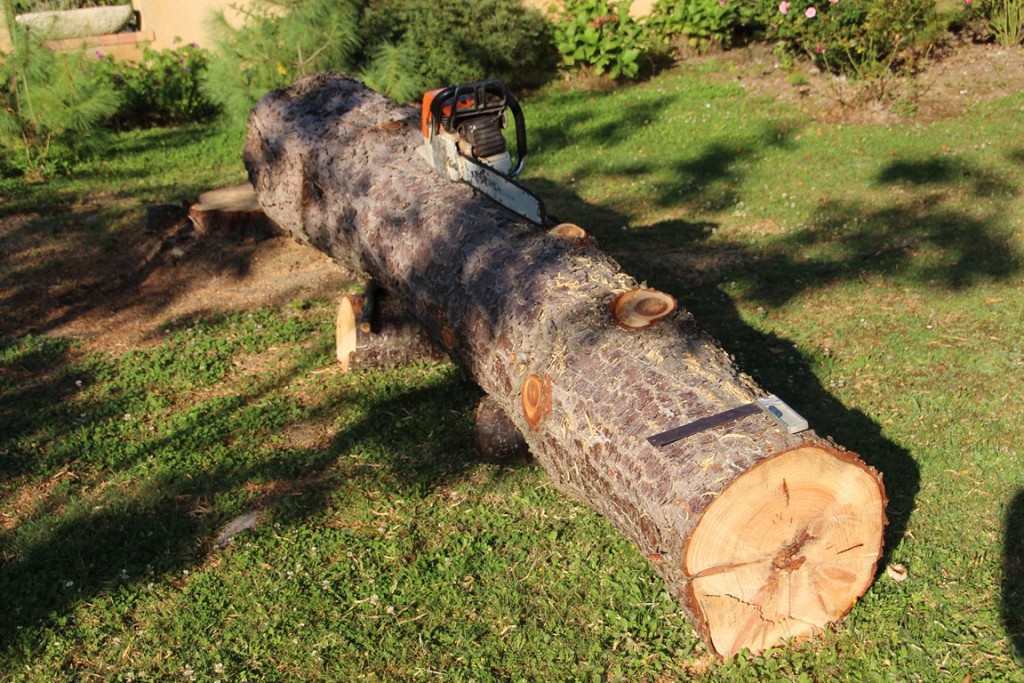 pin 075 (Copier).JPG