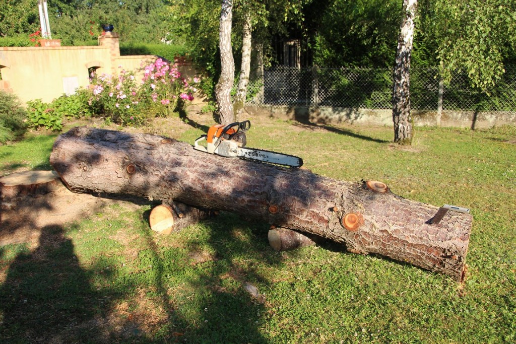 pin 076 (Copier).JPG