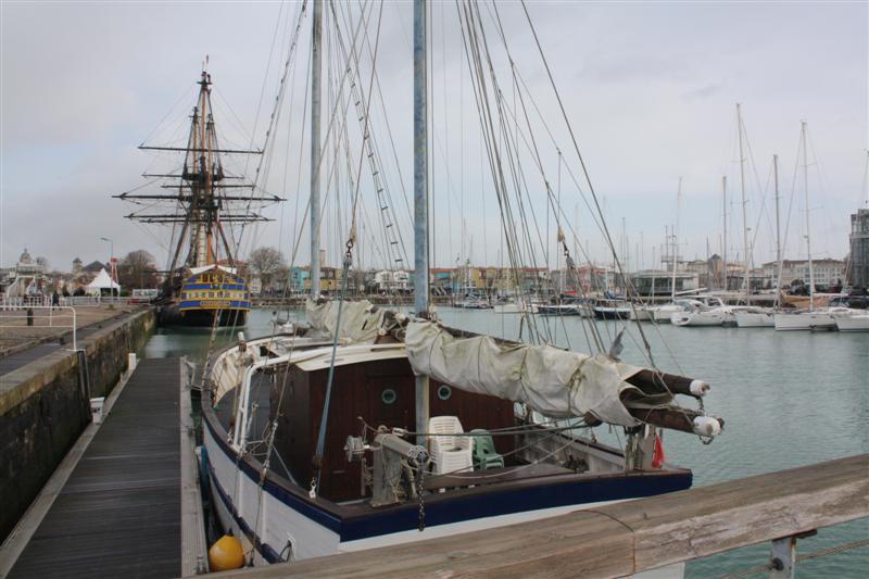 IMG_8474 (Medium).JPG