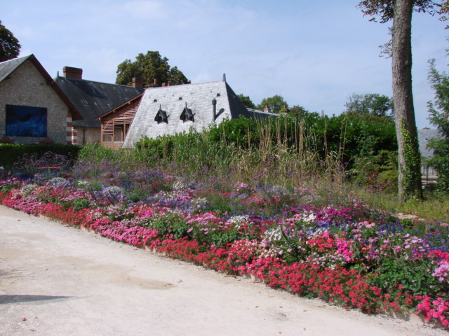 DSC01470.JPG