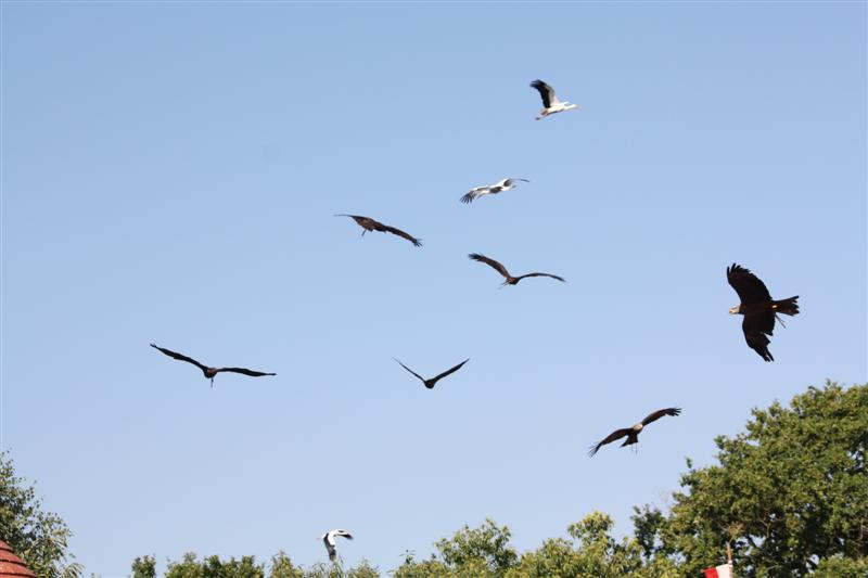 le Puy du Fou-22.JPG