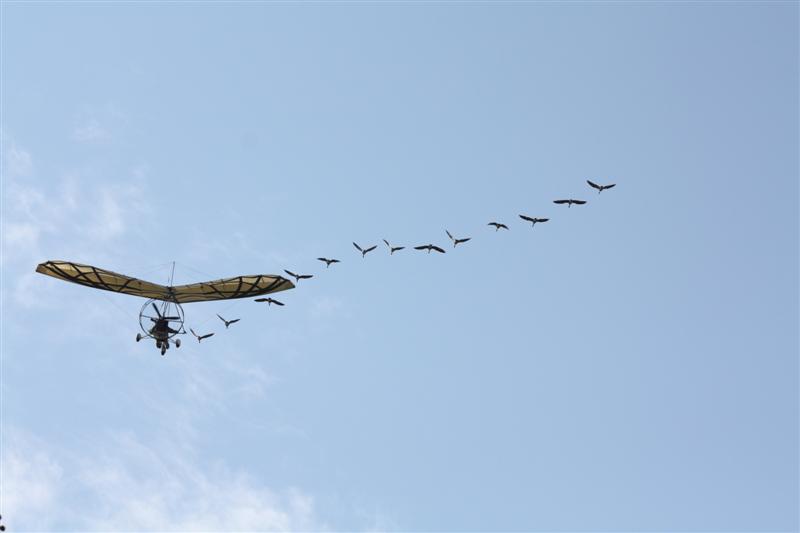 le Puy du Fou-29.JPG