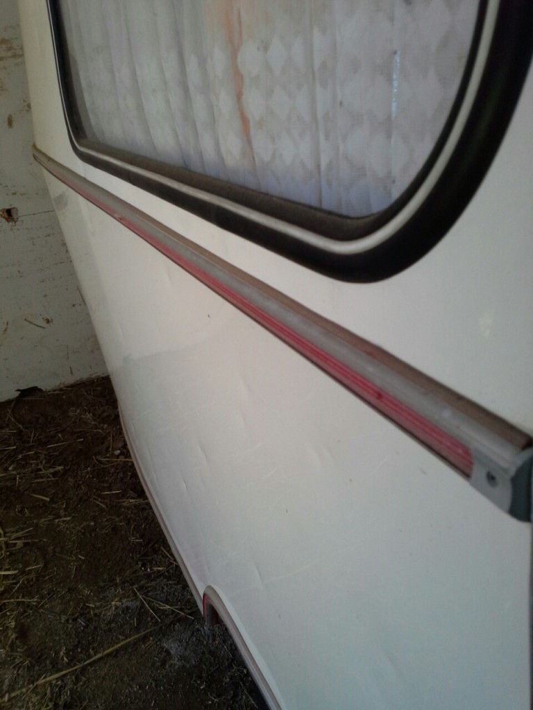 Puck 006_resized.jpg