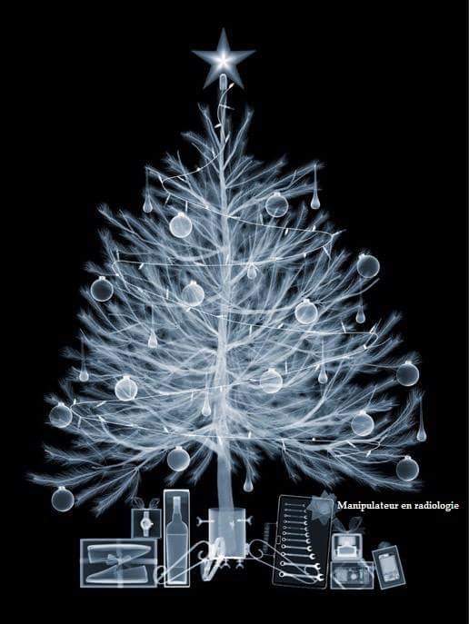 Sapin rayons X.jpg