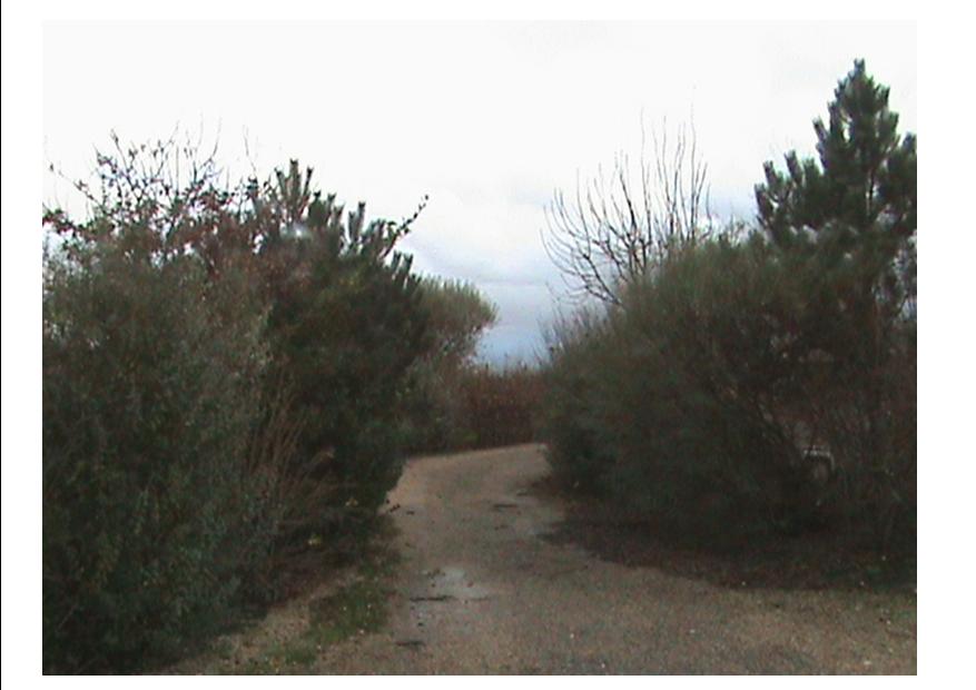 C A 8.jpg