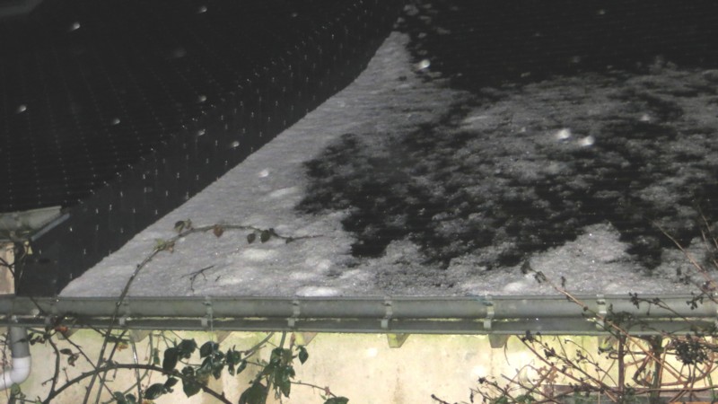 2016.9 janvier5RED.jpg