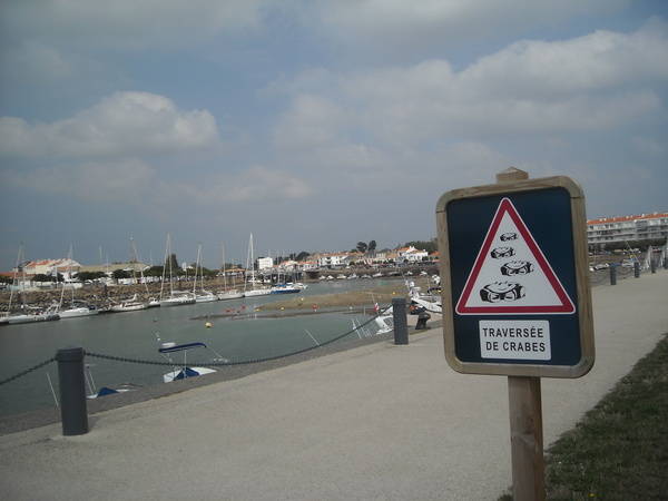 Traversée de crabes St Gilles croix vie.JPG