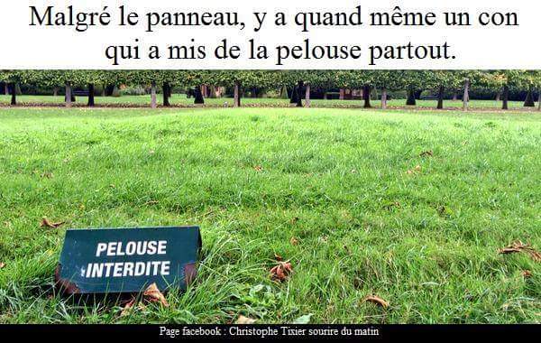 ^9D38C8961F17A471F9B598FE55E3DDE2F4BD4FABD79463F256^pimgpsh_fullsize_distr.jpg
