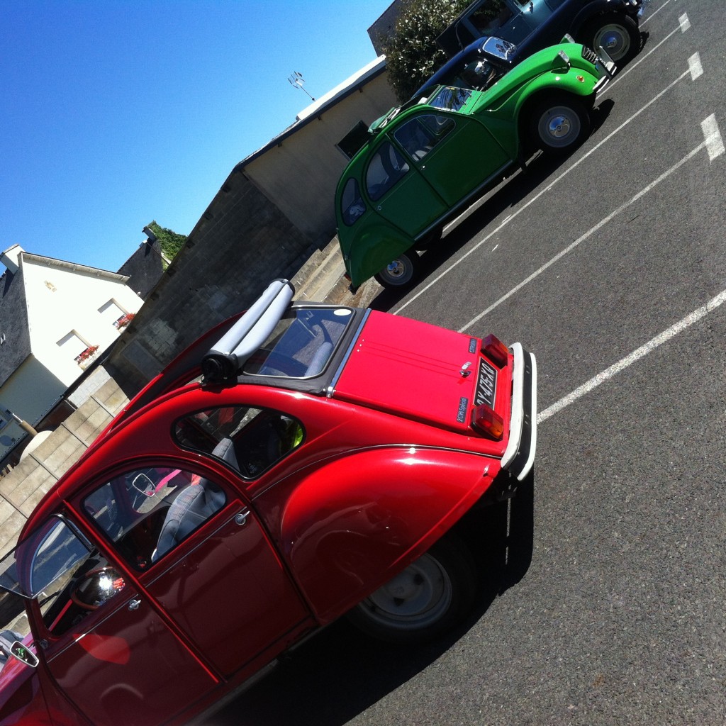 Des vertes et des pas mures...