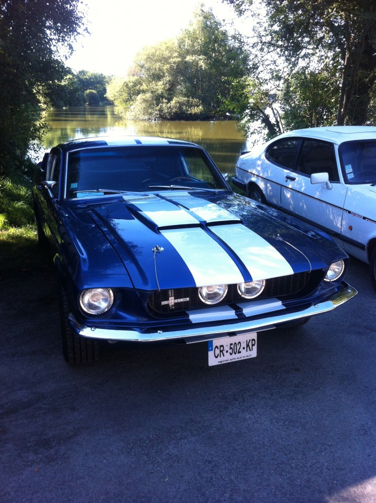 La bête de puissance