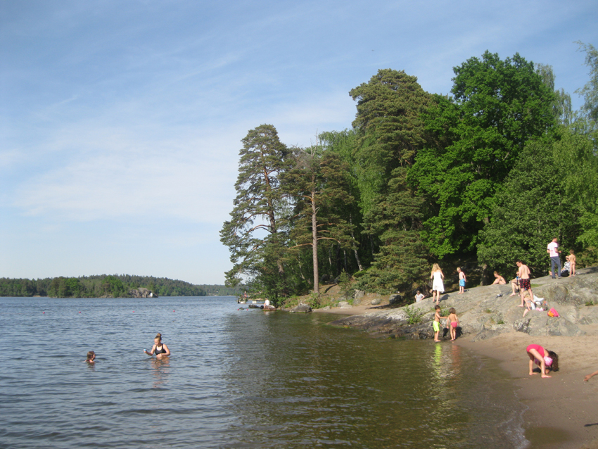 IMG_8565.jpg