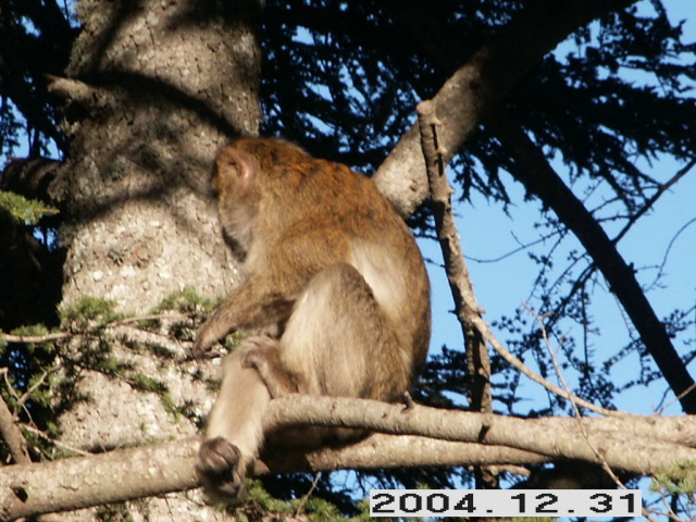 PICT0008.JPG