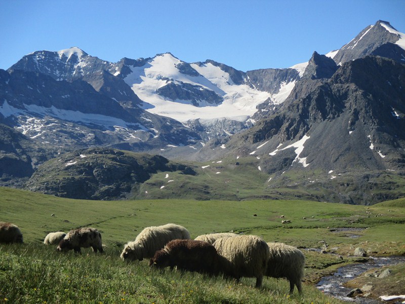 10 vers le refuge Carro.JPG