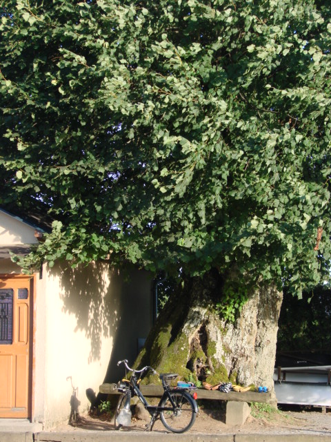 Au boulodrome du Piogat