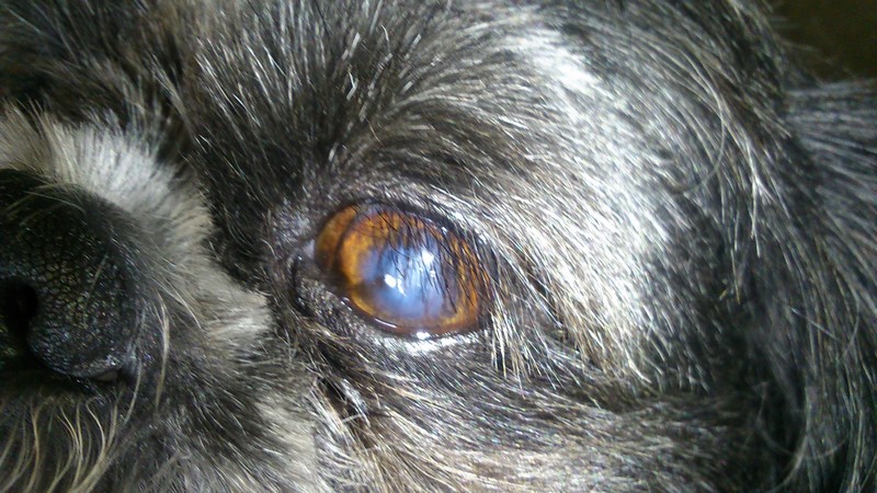 DSC_0014 (Copier).jpg